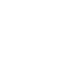 icon_infrastruktur_energie_white
